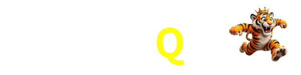 11Q
